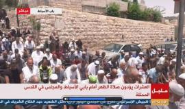 #شاهد #مباشر عشرات المقدسيين يصلون أمام بابي الاسباط والمجلس ويرفضون دخول الأقصى عبر البوابات الإلكترونية التي وضعتها سلطات الاحتلال.