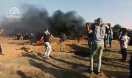 "شعلناها انتفاضة" .. 

مشاهد من #جمعة_النذير ضمن مسيرة العودة الكبرى في قطاع غزة أمس