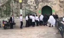 #شاهد مستوطنون يؤدون طقوسا تلمودية أمام باب الأسباط بالمسجد الأقصى قبل قليل