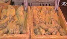 "الفسيخ " الطبق الرئيسي لأهالي قطاع غزة في عيد الفطر