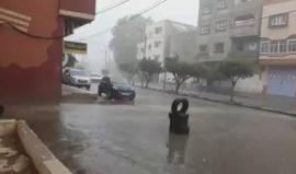 تساقط غزير للأمطار في غزة 

تصوير: Acc-Fawaz Abu Muaileq