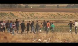 #شاهد فيديو اليوم عَصرًا .. مُنذُ تحليق الطائرة الورقية الحارقة وحتى اشتعال الأحراش خلفَ السلكِ الزائل مُقابل مُخيم خزاعة 