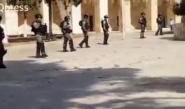 #شاهد اقتحام المسجد الأقصى المبارك هذا الصباح