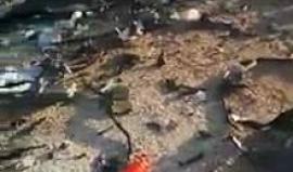 #فيديو 6 وفيات وعدد من الجرحى جراء حادث سير مروع بين مركبة أردنية وأخرى سعودية على طريق معان في الأردن أمس