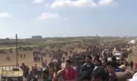 شرق غزة الان