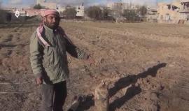 النظام السوري يقصف الغوطة الشرقية بالغازات السامة مجدداً