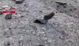 حمامة تُصارع الموت بعد إصابتها بشظية صاروخ من الطيران الحربي في حلب أمس