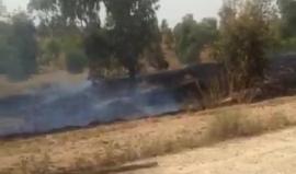 #شاهد الحرائق المندلعة الآن في حقول كيبوتس بئيري شرق قطاع غزة بفعل طائرة ورقية حارقة أطلقها شبان من القطاع