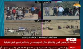 #مباشر فعاليات جمعة "الحرية والحياة" ضمن مسيرات العودة
#مسيرة_العودة_الكبرى