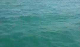 #مباشر .. جولة صباحية في بحر مدينة #عكا الفلسطينية