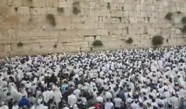 #شاهد عشرات الآلاف من المستوطنين يؤدون صلوات جماعية في حائط البراق