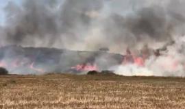 #فيديو للنيران التي تتصاعد من كيبوتس "نير عام" شرق بيت حانون شمال قطاع غزة بفعل طائرة ورقية حارقة