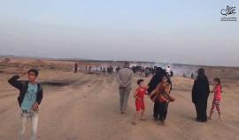 #شاهد قوات الاحتلال تطلق وابلا من قنابل الغاز صوب المتظاهرين قرب السياج الفاصل الشرقي لمدينة غزة . 
تصوير ‏‎ALaa Mohsen‎‏