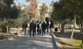 مستوطنون يقتحمون باحات المسجد الأقصى بحماية قوات الاحتلال صباح اليوم