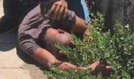#شاهد | مستوطنون يعتدون على فلسطيني من الخليل " 19 عاما" نفذ عملية طعن في يبنا المحتلة أسفرت عن إصابة مستوطن بجراح خطيرة .