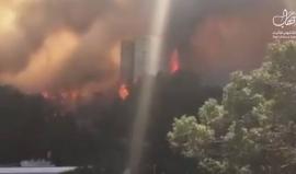 #شاهد النيران تحاصر مبانٍ في حيفا .. والنيران تمتد بفعل سرعة الرياح