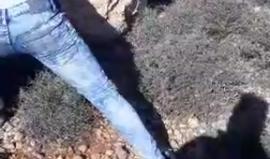 #مباشر المستوطنين يحولون اقتحام قرية قصرة بحماية جنود الأحتلال
