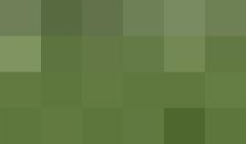 سقوط مجموعة من الأطفال خلال تدريب كرة قدم على طريقة البرازيلي #نيمار ! 

#NeymarChallenge