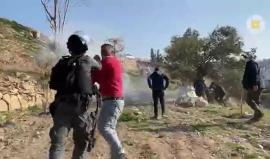 الاحتلال يعتدي على أهالي واد الربابة أثناء تصديهم لتجريف أراضيهم