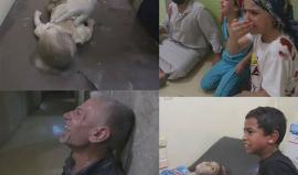 هذا مالا تراه إلا في #حلب .. أطفالاً ونساءاً ورجالاً كلهم في مرمى أهداف الطيران السوري والروسي!
ألم يحن الوقت للتحرك لإنهاء هذه #المأساة  !!