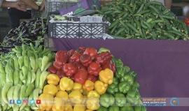 #شاهد | ارتفاع أسعار في أسواق الخضار، يؤرق المواطنين في الضفة الغربية.
تقرير: مصعب الخطيب