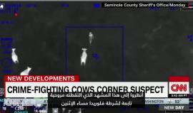 #شاهد| امرأة من ولاية فلوريدا الأمريكية سرقت سيارة ولحقت بها الشرطة فنزلت وركضت في مزرعة للهروب من الأمن لكن الأبقار التي في المزرعة لحقت بها وحاصرتها وكانت سبب في القبض عليها.

فيديو: CNN