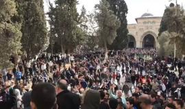 #شاهد الهتافات في المسجد الأقصى المبارك عقب صلاة الجمعة قبل قليل . 
#القدس_عاصمة_فلسطين
