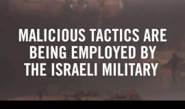 Amnesty International calls the world to stop selling the arms to the Israeli entity after his crimes against the demonstrators in Gaza.
#شاهد منطمة العفو الدولية تطالب العالم بوقف بيع الاسلحة للكيان الإسرائيلي بعد جرائمه بحق المتظاهرين في غزة .