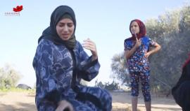 #شاهد رحلات العودة #غزة . 
#مسيرة_العودة_الكبرى