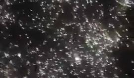 ليست ألعاب نارية ولا احتفالات كرنفالية إنها ليلة من ليالي مدينة #دوما في #الغوطة_الشرقية التي قصفت بصواريخ محملة بالفوسفور الحارق