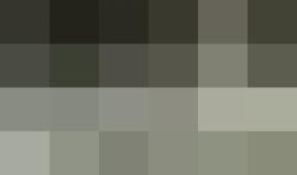 ضباط من شرطة الاحتلال يقتحمون باحات المسجد الأقصى تمهيداً لزيارة الأمير البريطاني ويليام