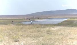 تعرف على طائرة "عنقاء إس" المتطورة التي صنعت في تركيا 
تقرير: ثريا الغراوي