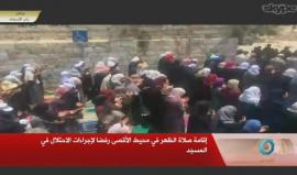 #شاهد #مباشر المرابطون يؤدون صلاة الظهر امام باب الاسباط بالأقصى المبارك .