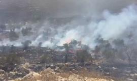 #شاهد .. النيران التي شبت قبل قليل في اراضي عصيرة القبلية جنوب نابلس