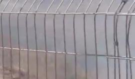 #شاهد اندلاع حريق في كيبوتس نير عام بفعل طائرة ورقية حارقة أطلقت من قطاع غزة