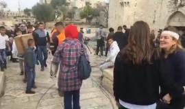سيدة فلسطينية أصيبت جراء اعتداء الاحتلال عليها في منطقة باب العامود بالقدس