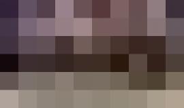 الولايات المتحدة | تشريع جديد يمنح ترامب السلطة لمعاقبة الشركات التي تقاطع الاحتلال