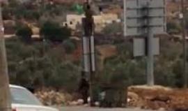 #شاهد .. جندي الاسرائيلي يحاول نزع رايات حركة حماس عن أحد أعمدة الانارة في بلدة سنجل برام الله.