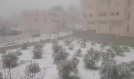 الثلوج في "جبل خلة بطرخ نمره" بالخليل 

تصوير: Sayed Herbawi