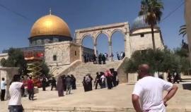 #شاهد قوات الاحتلال تعتدي بالقنابل على المصلين بالمسجد الأقصى