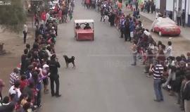 سباق من نوع آخر .. ماذا حدث !