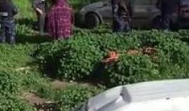 #فيديو استمرار الحملة الأمنية التي تستهدف السيارت المشطوبة في بلدة قطنة ومنطقة شمال غرب القدس