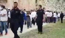 #شاهد مستوطنون يستبيحون المسجد الاقصى المبارك