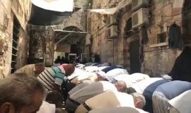#شاهد الفلسطينيون يقيمون صلاة الظهر امام باب الناظر بعد رفض عبور البوابات الالكترونية للدخول إلى المسجد الأقصى المبارك .
