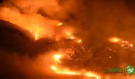 #شاهد .. النيران المستعرة في جبل نحف شرق دير الأسد بالداخل الفلسطيني المحتل عام 48 . 

تصوير محمد قشقوش " حصاد نت "