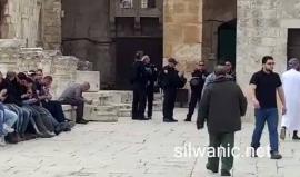 #شاهد| استنفار لشرطة الاحتلال في ساحات المسجد الأقصى، بعد انتهاء صلاة الجمعة.