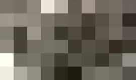 مستوطنون يقتحمون مقبرة باب الرحمة الملاصقة للمسجد الأقصى المبارك ويؤدون طقوساً تلمودية بداخلها