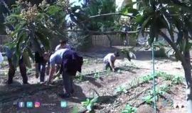 الضفة الغربية .. 

فوز مدسة "الفرندز" للبنات بالمرتبة الأولى في برنامج "مدارس صحية وصديقة للبيئة" لعام 2015-2016 والذي تُشرف عليه بلدية رام الله