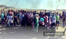 #شاهد
إجمالي فعاليات #جمعة_أطفالنا_الشهداء في خيمة العودة شرق المحافظة الوسطى