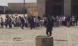 مستوطنون يقتحمون الأقصى بأعداد كبيرة منذ الصباح